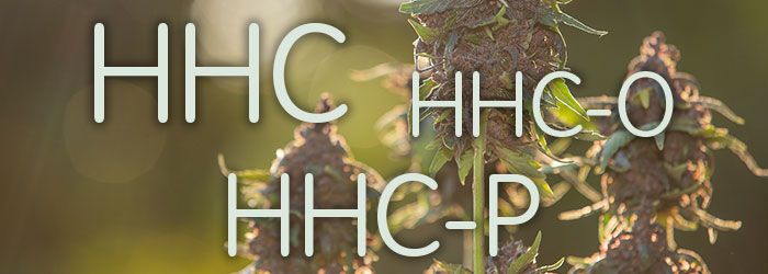 différence hhc hhcp hhco